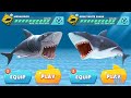 MEGALODON vs GREAT WHITE SHARK Hungry Shark Evolution