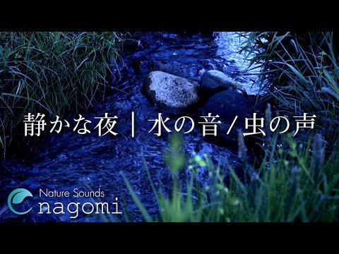 【環境音/ASMR】水の音・虫の声｜静かな夜の虫の声・優しい水の音｜睡眠・リラックス｜自然環境音・Nature Sounds