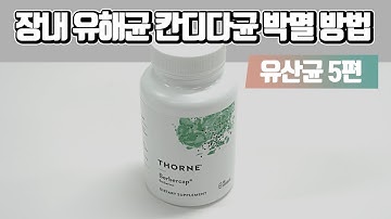 유산균이 효과없었던 분 필수시청! 장내 유해균과 칸디다 박멸하는 방법