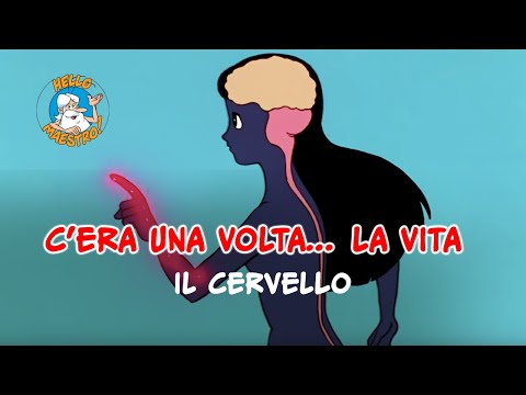 Video: Quale parte del cervello è legata alle esperienze mistiche?