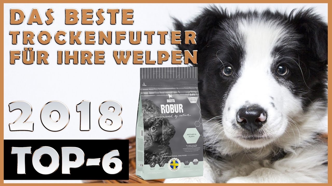 Welpenfutter Test 2022 • Die 9 im