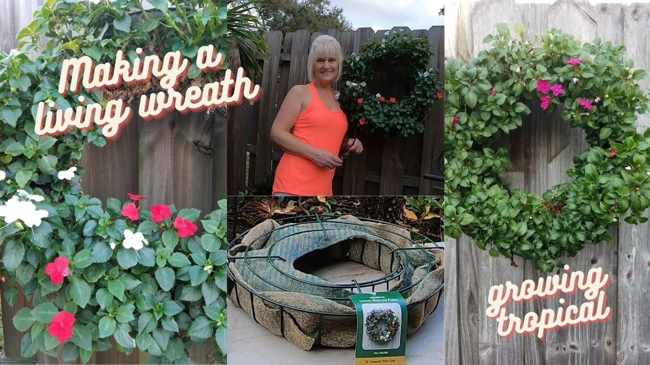 How to Make a Living Wreath // Impatiens // Growing Tropical - YouTube