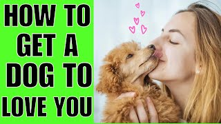 How To Get A Dog To LIKE You (LOVE YOU FOREVER) by Cocker Spaniel World 136 views 1 month ago 2 minutes, 14 seconds