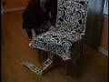 Save The Chairs! Chair Covers Save The Chairs! Chair Covers