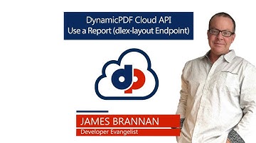 Use a Report -  DynamicPDF API