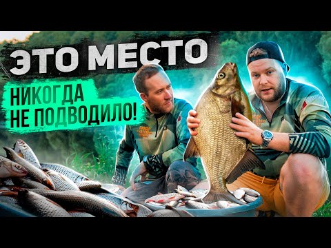 Видео: ЭТО МЕСТО НИКОГДА НЕ ПОДВОДИЛО!