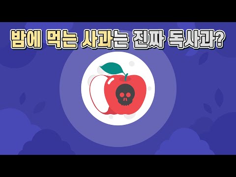 사과를 밤에 먹으면 정말 독사과가 될까 