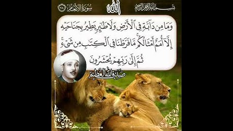 صوت جميل ♥️ راحةفي القلب تجويد القرآن الكريم الشيخ عبدالباسط عبدالصمد رحمه الله 🌹🕋 تلاوة عطرة