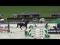 Greenfield Horses - Beg Bajazid T - 13 y.o by Beethoven