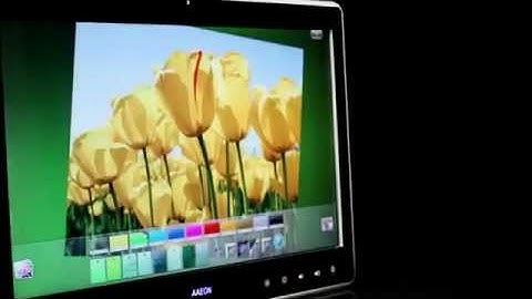 AAEON: All-in-one Panel PC (ACP-Series)