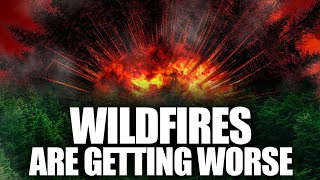 How Fighting Forest Fires Made Them Worse