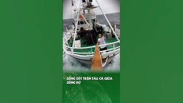 Sống sót trên tàu cá giữa sóng dữ #kienthucthuvi