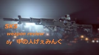 【BF4 実況】中の人Ａの武器解説、SKS編