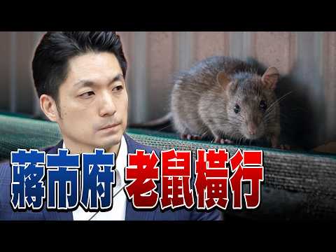 《 国民党 军购 内哄!反 郑丽文 大战! 台北 安鼠之乱! 蒋万安 失格?! 国民党 2026.2028完了?》【年代向钱看】2026.05.05@ChenTalkShow 傅崐萁 韩国瑜