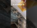 Ac coil leakage 😱 || kya sabit karna chahta hai tu 😂😂 #shorts #acwork #airconditioner #viral #ac