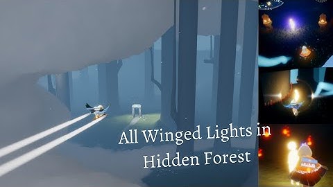 All Winged Lights in Hidden Forest l Sky: Children Of The Light
