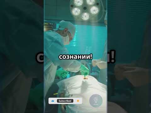 Мозг не чувствует боли. Серьёзно! #Факт #Мозг #Тело #Shorts #Интересно #iqcheck #shortvideo #факты