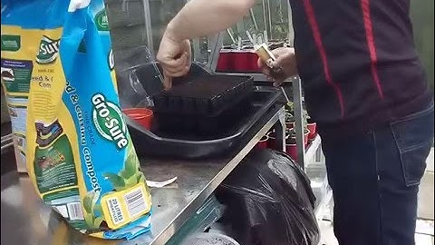 50 sog episode 30 01 04 2016 the sowing of the sweetcorn and parsnips