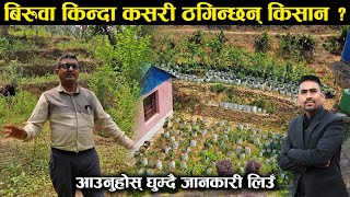 बिरुवा किन्दा कसरी ठगिन्छन् किसान ? बच्ने उपाय के होला ? - गौतमले घुमाउदै गराए जानकारी