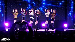 180424 소나무 ( I ) 4K