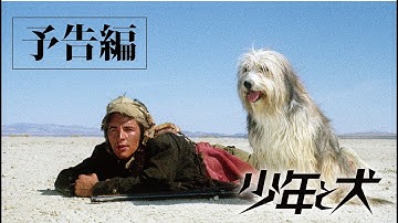 映画『少年と犬』予告編