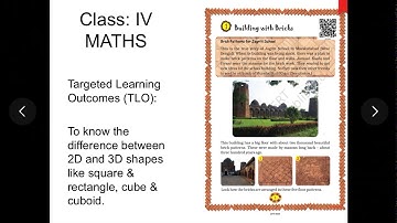 Building with bricks 2D & 3D shapes