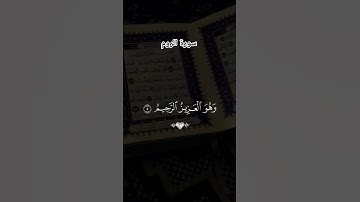 #سورة_الروم #ماهر_المعيقلي #لايك #اكسبلور #قرآن #راحة_نفسية