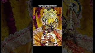 Shri Radhavallabh lalji Mandir Vrindavan Shringar Darshan 18.5 #radhakrishna #radha #viral #shorts