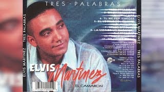 Elvis Martinez - Tu me perteneces (Audio Oficial) álbum Musical Tres Palabras - 2002 chords