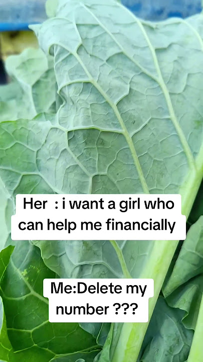 Delete my number #rabbit #hydroponics #bunny