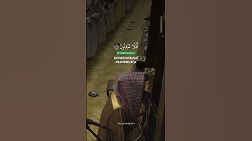 القارئ : محمد اللحيدان تلاوة في منتهى الجمال