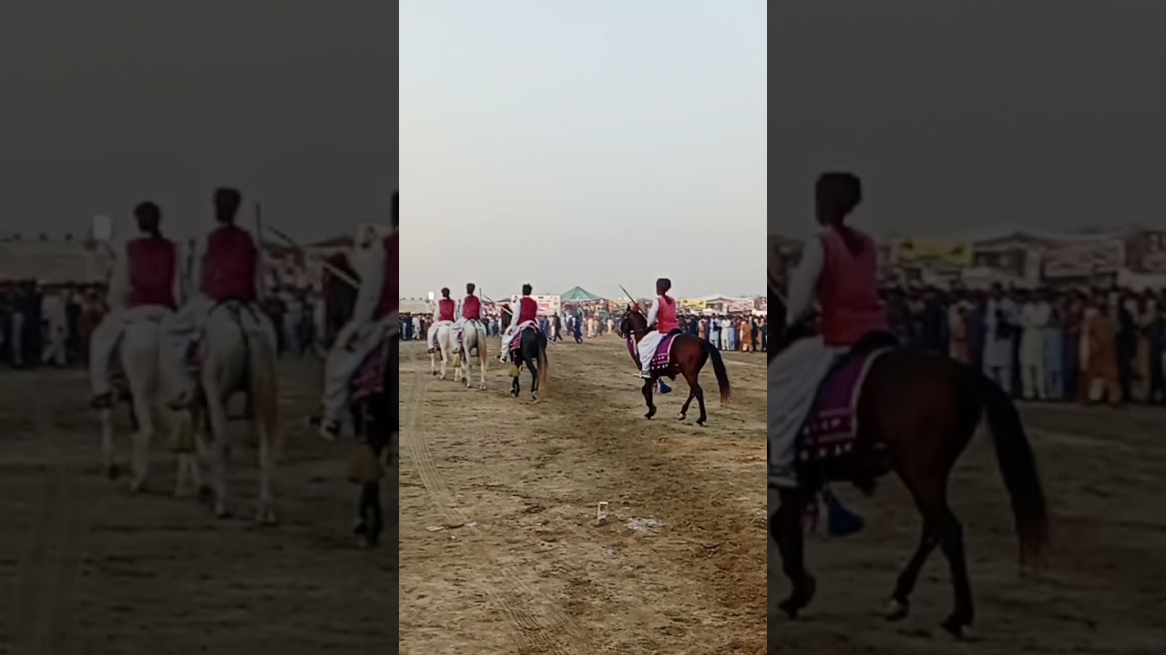 Neza Bazi team performance in 10thal jeep rally at choubra layyah #shortvideo #horseriding #viral