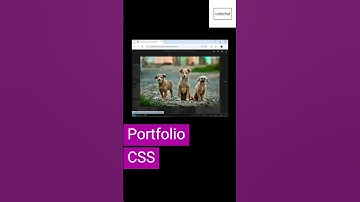 Create Responsive Image Gallery Using HTML and CSS | Web Development Tutorial  #gallery #portfolio