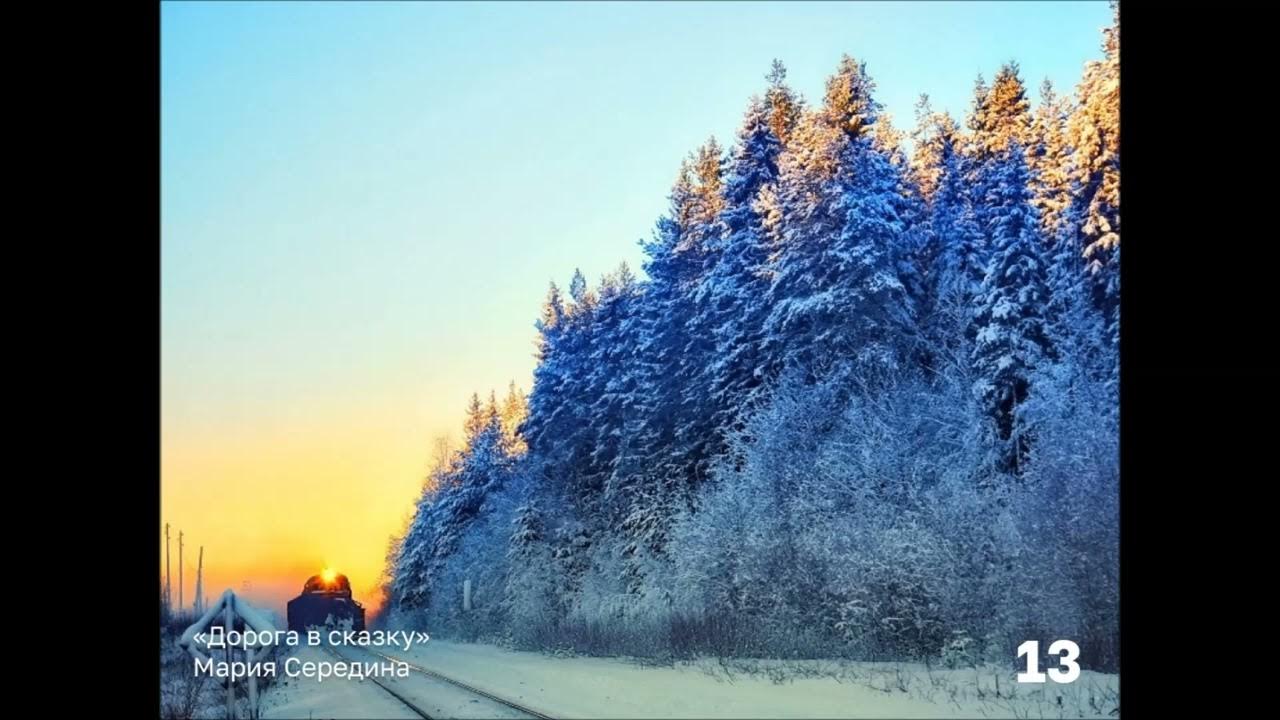 Карельский лес зимой