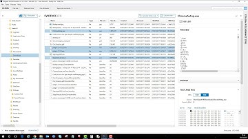 Magnet AXIOM   Tagging in FileSystem   Displaying in Artifact View