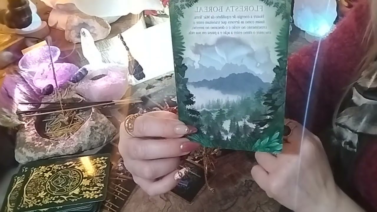 SIGNO DE CAPRICÓRNIO ♑URGENTE VAI TE PROCURAR 💥💣 WHATSAPP054999498134 