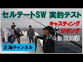 21セルテートが凄い！