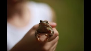 Froskekikking / Frogspotting