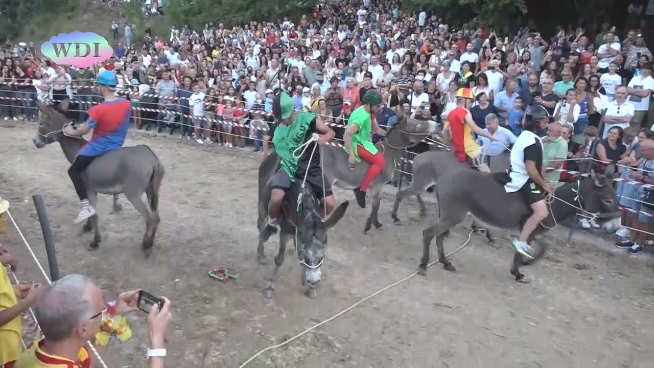 Laino Borgo: il “Palio cu i ciucci” ha divertito davvero tutti