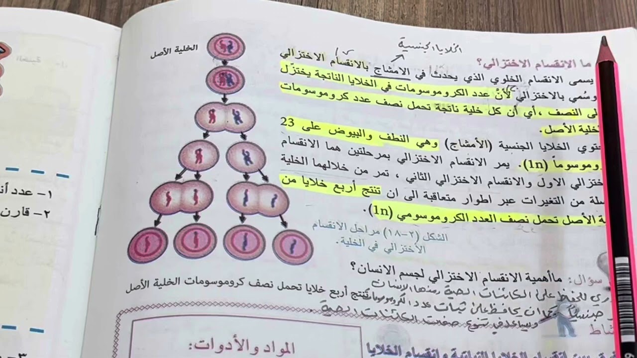 الانقسام الخيطي والانقسام الاختزالي علوم احياء للصف الاول متوسط ص ٤٩ ، ست مريم