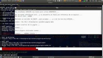 Bugrtraq 2 BlackWidow (WPSCAN)  (t31m0)