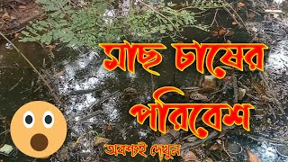 মাছ চাষের পরিবেশ  II  Fish Culture Environment     সকল বন্ধুরদের জন্য