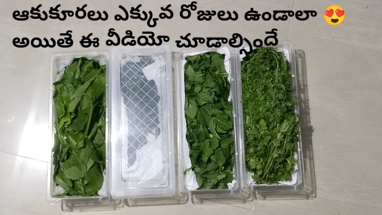 How to Store leafy Vegetables in fridge for long timeతాజా గా ఆకుకూరలు స్టోర్ Reshma Nazeer