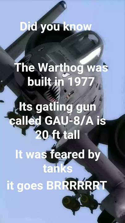 please sub. also respect for the soilders who fought for freedom