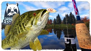 Download Lagu Catching BASS at Elk Lake (my rod can't handle the hogs) | RUSSIAN FISHING 4 MP3 Download Lagu Catching BASS at Elk Lake (my rod can't handle the hogs) | RUSSIAN FISHING 4 MP3