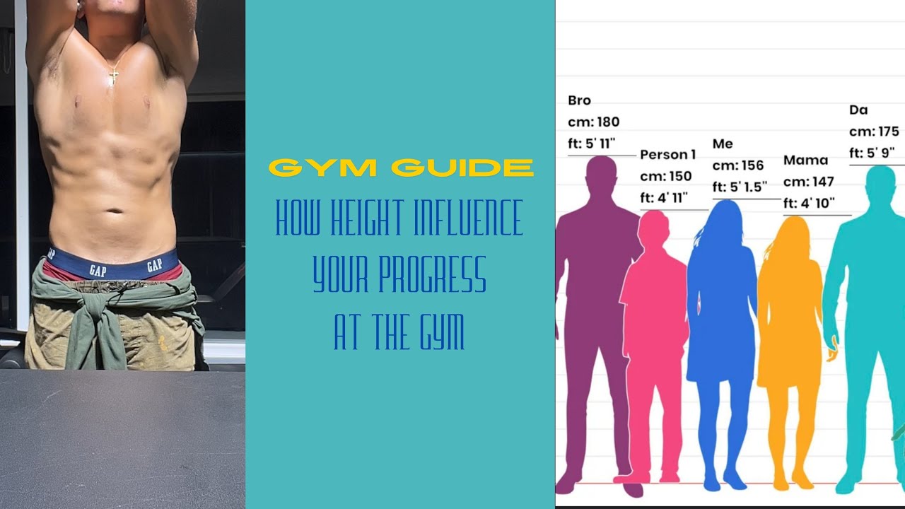 Gym Guides How Does Your Height Change Your Progress YouTube
