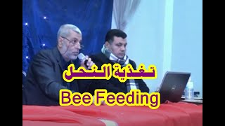 تغذية النحل Bee feeding