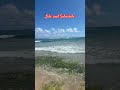 On the beach at Ocean El Faro in Punta Cana #beach #beachlife #puntacana