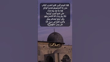 سورة محمد الآية ٤ الى ٦ بصوت الشيخ محمد صديق المنشاوي