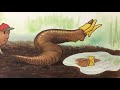 Diary of a Worm Quiz